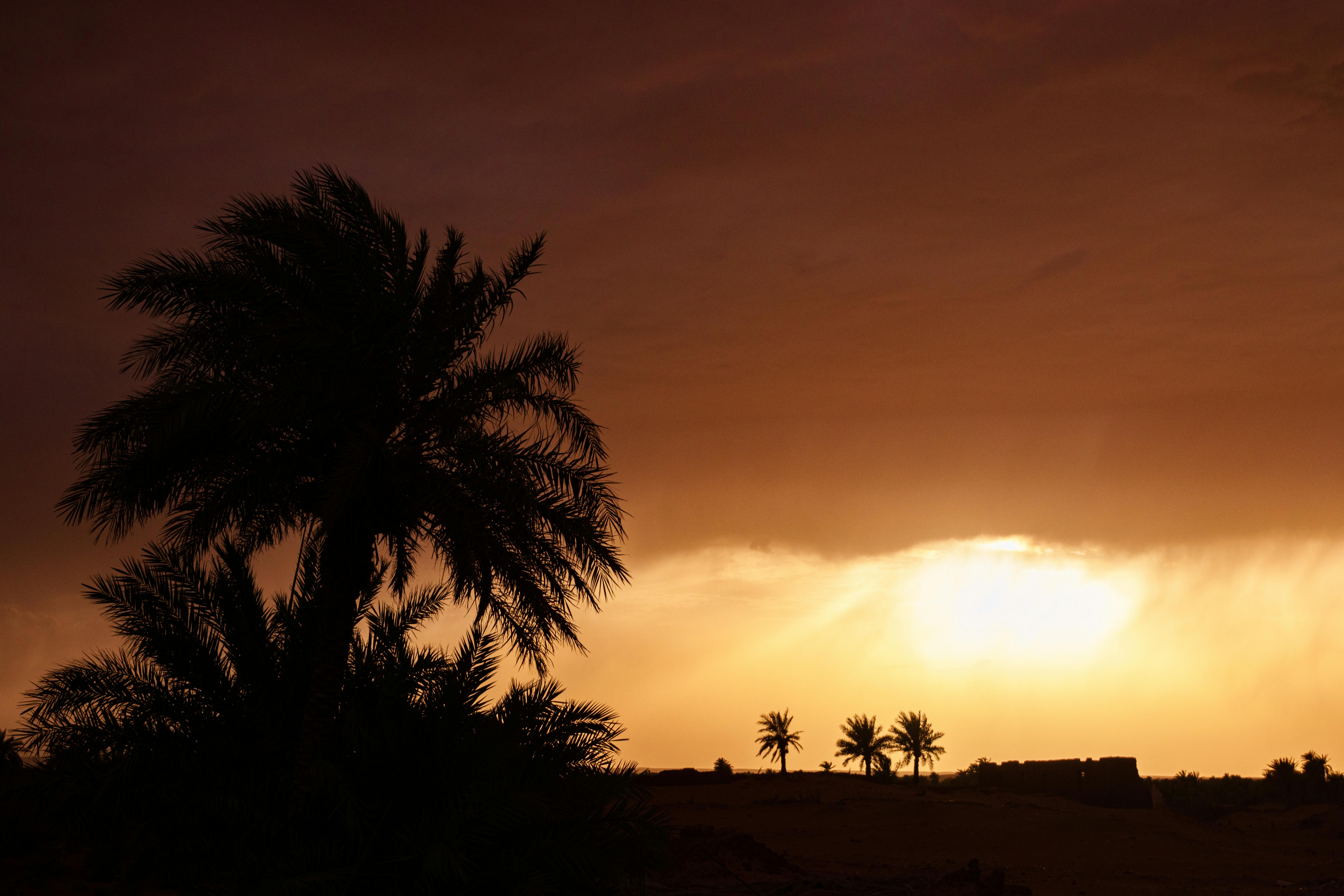 Tour 6 giorni Casablanca - Fez - Merzouga - Marrakech